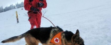 Илина Григорова Кирил Русев е алпинист с дългогодишен опит. Ръководи Планинската спасителна служба (ПСС). ПСС е единствената организация в България, която се занимава с планинско спасяване и като такава е...