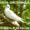 Ежегодният сватбен форум -  Началото на една нова традиция в Сватбения бранш.    След огромния интерес към „Първи международен форум“, протекъл с  участието на световно известни руски лектори, България за...