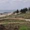   Започнаха озеленителните дейности  на терена на новостроящия се крайморски парк в с. Равда. От няколко дни върви усилена работа по премахване на излишната трева и подготовка на пространството за...