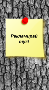 your-ads-here-165x300-1