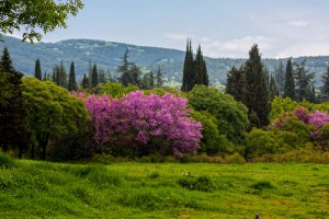 na-36432.jpgvrfgewfewf