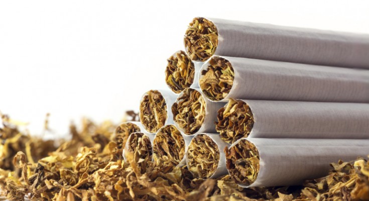 cigarettes in loose tobacco, close up with copy space in the white background