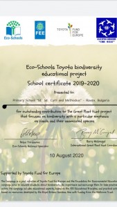 Сертификат 2020