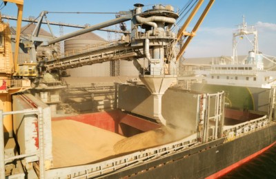 Odessa, Ukraine - August 09, 2021: Loading grain into holds of sea cargo vessel through an automatic line in seaport from silos of grain storage. Bunkering of dry cargo ship with grain