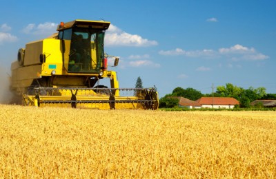 Harvester combine harvesting wheat on sunny summer day.