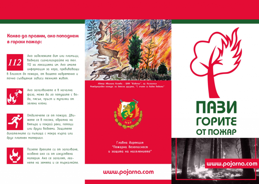 forest-fires-brochure_Page1(1)
