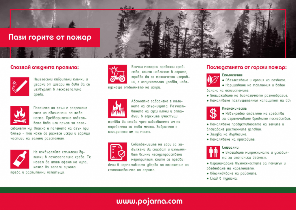 forest-fires-brochure_Page2