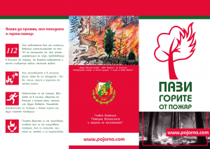 forest-fires-brochure-1