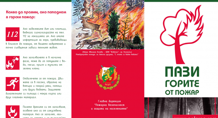 forest-fires-brochure-1