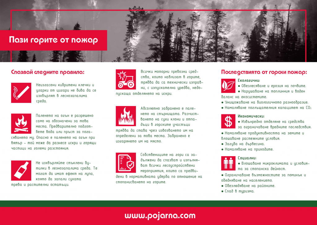 forest-fires-brochure-2