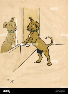 ZOMBIRANE DOG 2(4)