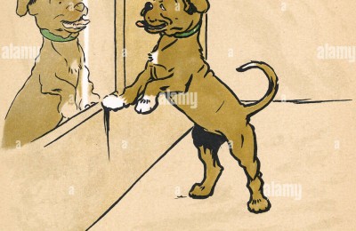 ZOMBIRANE DOG 2(4)