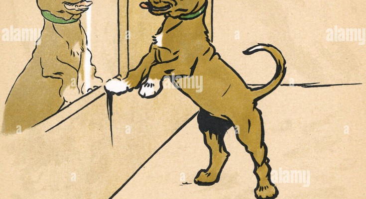 ZOMBIRANE DOG 2(4)