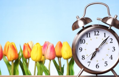 Spring concept - alarm clock in front of colorful tulips