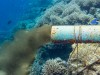 underwater sewer pipe in coral reef
