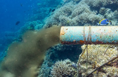 underwater sewer pipe in coral reef