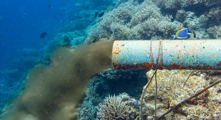 underwater sewer pipe in coral reef